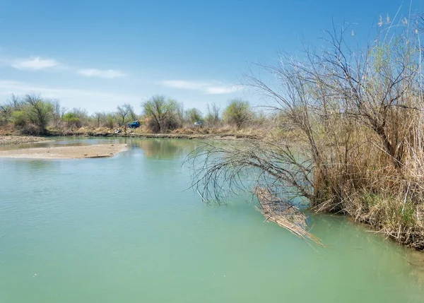 Canne Del Fiume Steppa Estate Vista Nel Panorama Del Fiume — Foto Stock