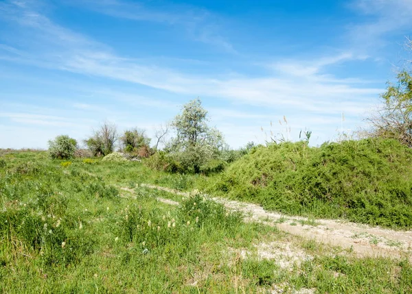 Stäppen Prairie Veldt Veld Flodslätter Vacker Natur Stäpperna Kazakstan — Stockfoto