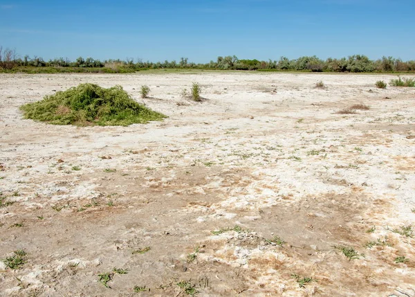 Bozkır tuzlu topraklar. tuz tuz tuz. Bozkır çayır veldt veld. Tuzlu toprak çöl, tuzlu Göller. cansız yanıp kavrulmuş dünyamız. Kazakistan çıplak bozkır