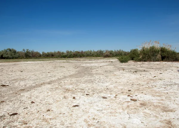 Bozkır tuzlu topraklar. tuz tuz tuz. Bozkır çayır veldt veld. Tuzlu toprak çöl, tuzlu Göller. cansız yanıp kavrulmuş dünyamız. Kazakistan çıplak bozkır