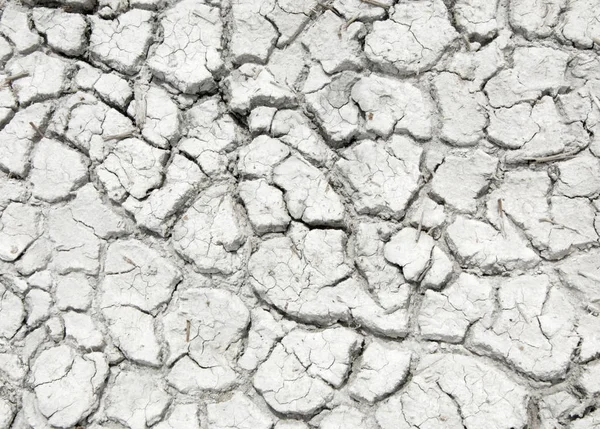 Grietas en el suelo. sequía. erosión del suelo, textura agrietada. Suelo agrietado seco . — Foto de Stock