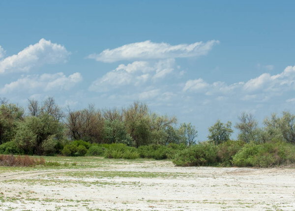 Steppe saline soils. saline  salt  in salt.  steppe  prairie  veldt veld. Saline soils of the desert, salt lakes,.  lifeless scorched earth. bare steppe of Kazakhstan