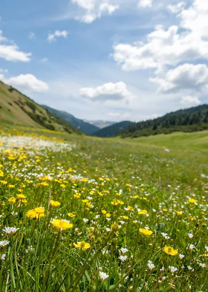 山，山，小山。哈萨克斯坦。田北俊山。总成高原 — 图库照片