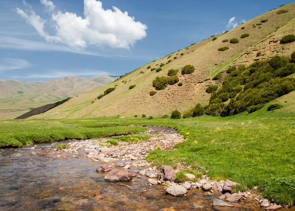 Montaña, monte, colina. Kazajstán. Tien Shan. Meseta de Assy — Foto de Stock