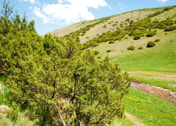 Mountain Mount Hill Kazakhstan Tien Shan Assy Plateau — Stock Photo, Image