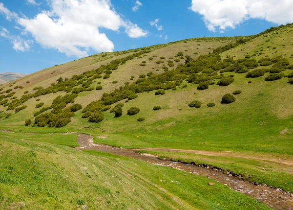 Góra, Góra, wzgórze. Kazachstan. Tien Shan. Assy płaskowyżu — Zdjęcie stockowe