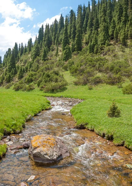 dağ, dağ, tepe. Kazakistan. Tien Shan. Takma Yaylası
