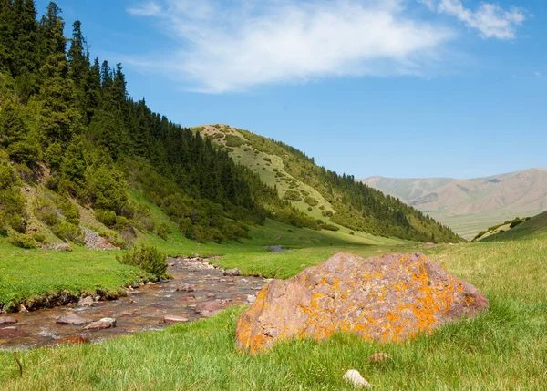 Montaña, monte, colina. Kazajstán. Tien Shan. Meseta de Assy —  Fotos de Stock