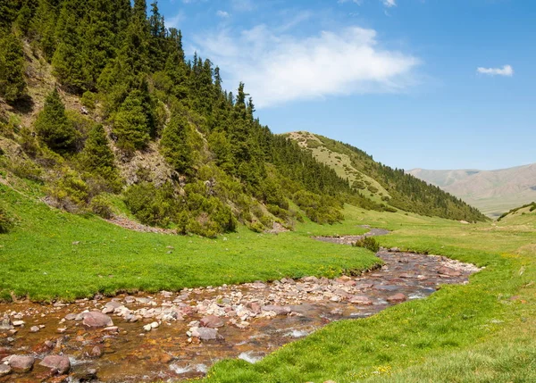 Mountain, mount, hill. Kazakhstan. Tien Shan. Assy plateau — Stock Photo, Image