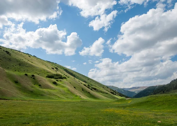 dağ, dağ, tepe. Kazakistan. Tien Shan. Takma Yaylası