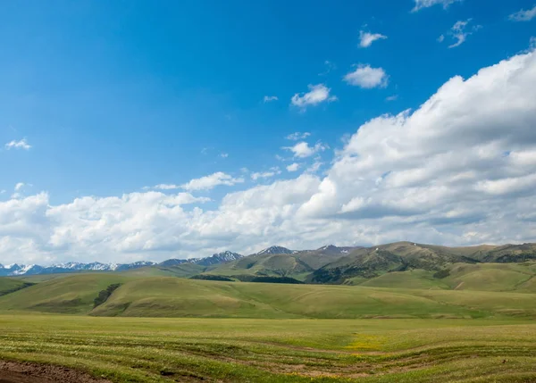 Góra Góra Wzgórze Kazachstan Tien Shan Assy Płaskowyżu — Zdjęcie stockowe