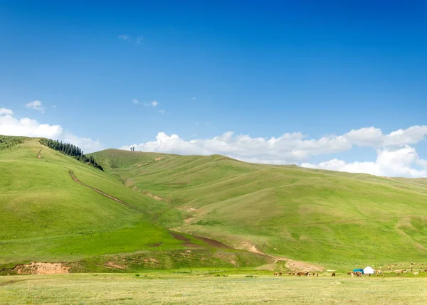 Góra, Góra, wzgórze. Kazachstan. Tien Shan. Assy płaskowyżu — Zdjęcie stockowe