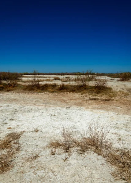 tuzlu su, tuz bataklığı. Etkin badlands. Tek çalı. Kazakistan