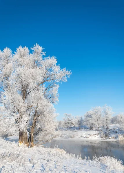 Winter, Winter-Flut, Winter-Zeit — Stockfoto