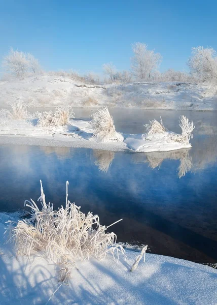 Winter Winter Tide Winter Time Hibernate Coldest Season Year — Stock Photo, Image