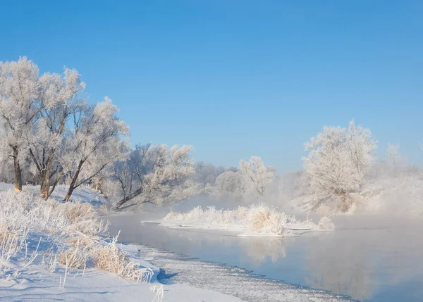 Winter Flut Winterzeit Winterschlaf Die Kälteste Jahreszeit Des Jahres Auf — Stockfoto