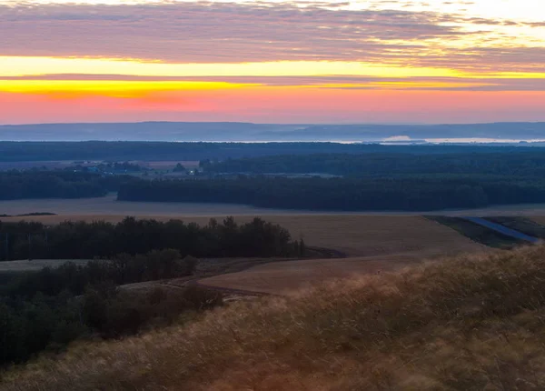 stock image birch forest landscape view from the mountain at sunset