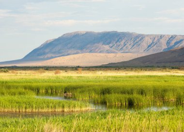  Bozkır yaz. Turgai kapısı. Turgai Kaydet. Milli Parkı 