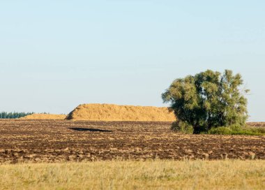 Yaz aylarında taze sürülmüş alan, saman yığınları, kavak