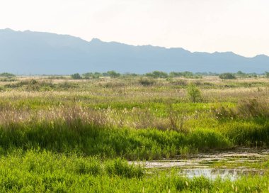  Bozkır yaz. Turgai kapısı. Turgai Kaydet. Milli Parkı 