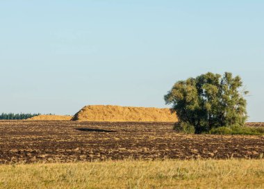 Yaz aylarında taze sürülmüş alan, saman yığınları, kavak