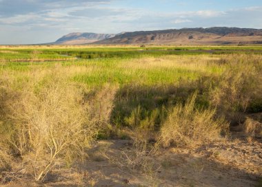  Bozkır yaz. Turgai kapısı. Turgai Kaydet. Milli Parkı 