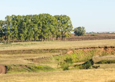 Yaz aylarında taze sürülmüş alan, saman yığınları, kavak