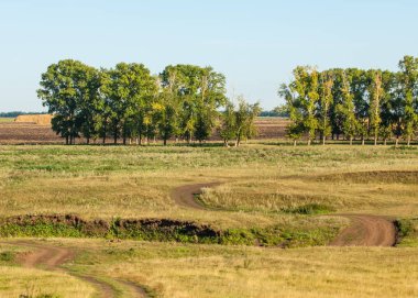 Yaz aylarında taze sürülmüş alan, saman yığınları, kavak