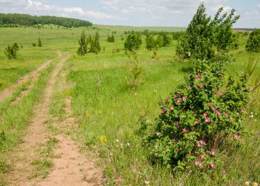 geometrické papírové abeceda