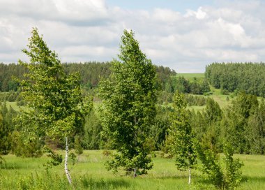 geometrické papírové abeceda