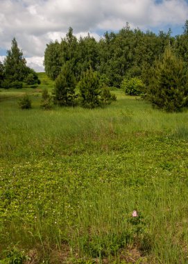 geometrické papírové abeceda