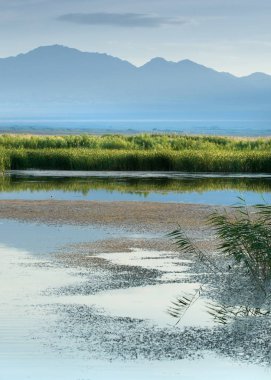 Bozkır yaz. Turgai Kaydet. Çölde Gölü