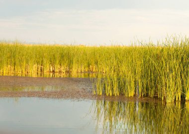  Bozkır yaz. Turgai kapısı. Turgai Kaydet. Milli Parkı 