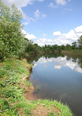 Vezi de mongolă pustie zona - înflorire Lunca şi zada lemn - sayan munte - gorhi-terelj national park - Parcul mongolianational - mongolia