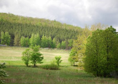 Vezi de mongolă pustie zona - înflorire Lunca şi zada lemn - sayan munte - gorhi-terelj national park - Parcul mongolianational - mongolia