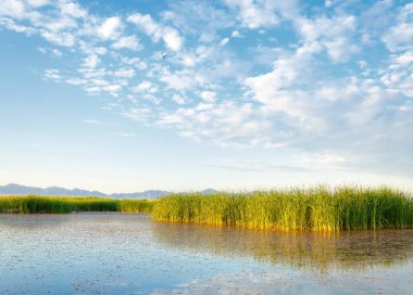  Bozkır yaz. Turgai kapısı. Turgai Kaydet. Milli Parkı 