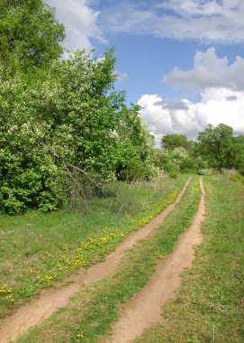 Vezi de mongolă pustie zona - înflorire Lunca şi zada lemn - sayan munte - gorhi-terelj national park - Parcul mongolianational - mongolia