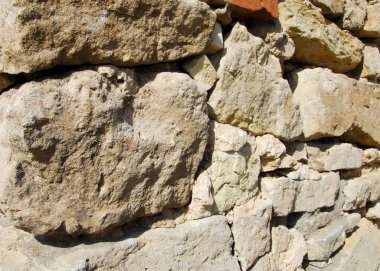 doku taş. içinde belgili tanımlık vahşi fotoğrafı