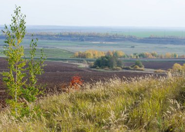 Sonbahar, pastırma yazı. geç sonbaharda meydana gelen olağandışı kuru, sıcak hava bir süre. Ekilebilir arazinin, huş ağacı, Kuru ot,