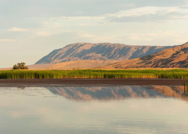 Steppe summer. Turgai save. Lake in the desert — Stock Photo, Image