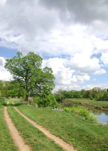 Summer Sky Clouds River Panorama Sunny Summer Day Blue Sky — Stock Photo, Image