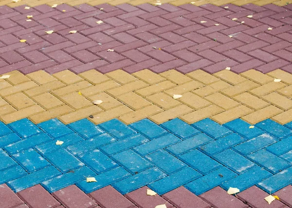 Texture, background. Sidewalk blocks of color, autumn leaves lie on the pavement