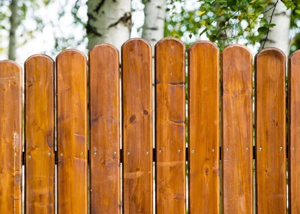 Textura Estructura Madera — Foto de Stock