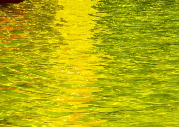 Sarı Havuzu Bahçesi Ileyolculuk Suda — Stok fotoğraf