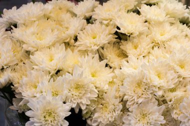 Bir buket çiçek, üstten görünüm, portre resim krizantem.