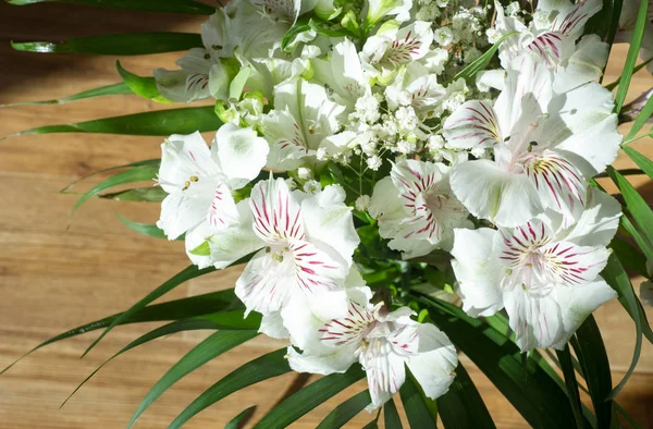 Alstroemeria Género Plantas Con Flores Perteneciente Familia Alstroemeriaceae —  Fotos de Stock