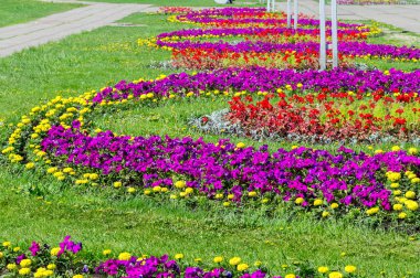 Bahar kentsel peyzaj. Şehir parkları. büyük şehir parkı yeşil çim alanı. güzel sabah ışık yeşil çim sahası ile kamu parki