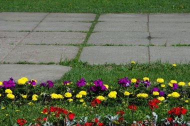 Bahar kentsel peyzaj. Şehir parkları. büyük şehir parkı yeşil çim alanı. güzel sabah ışık yeşil çim sahası ile kamu parki