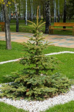 Arka plan resmi, bahar kentsel kentsel peyzaj şehir eğlence parkının Naberezhnye Chelny şehir dokusuna