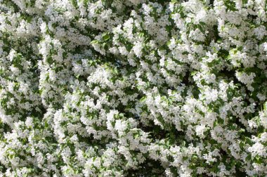 Teknogen peyzaj, kentsel. Yükselen güneş ışınlarının kutbunda enerji. Mesajını yüksek kurşun transferi için. Çelik elektrik direkleri